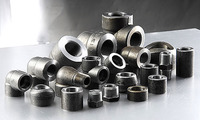 <br />
Carbon Steel Forged Fittings