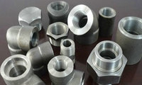 Hastelloy C22, Hastelloy B2 Forged Fittings