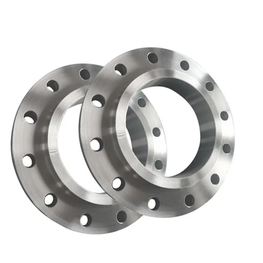 ANSI B16.5 Hastelloy Flanges