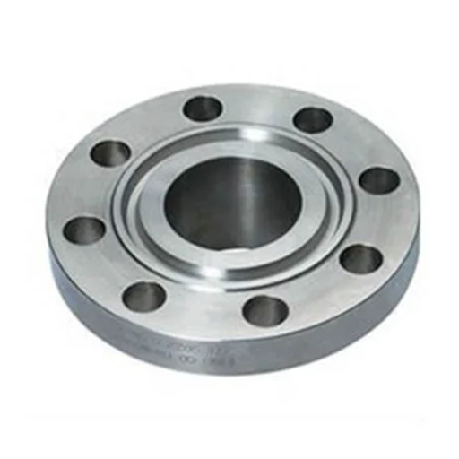 Hastelloy Ring Type Joint Flanges