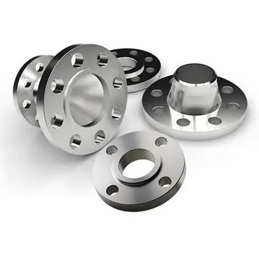 Titanium Flanges